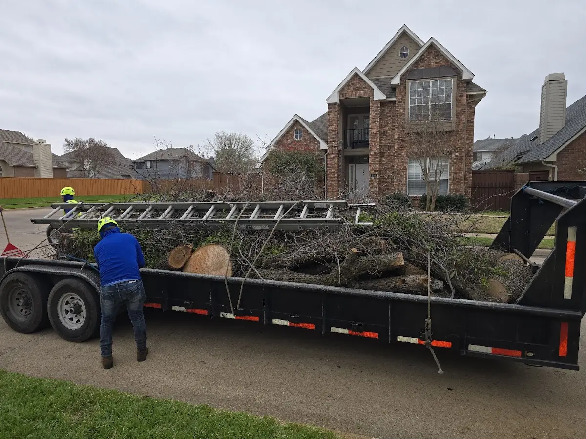 Expert Tree Pest Control with proper safety equipment in Tallmadge